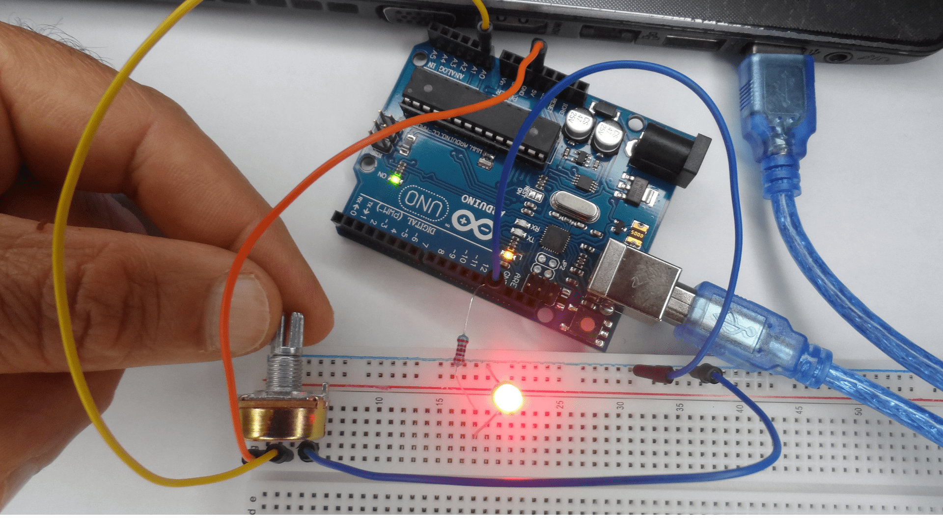 analog input sketch from the Arduino application