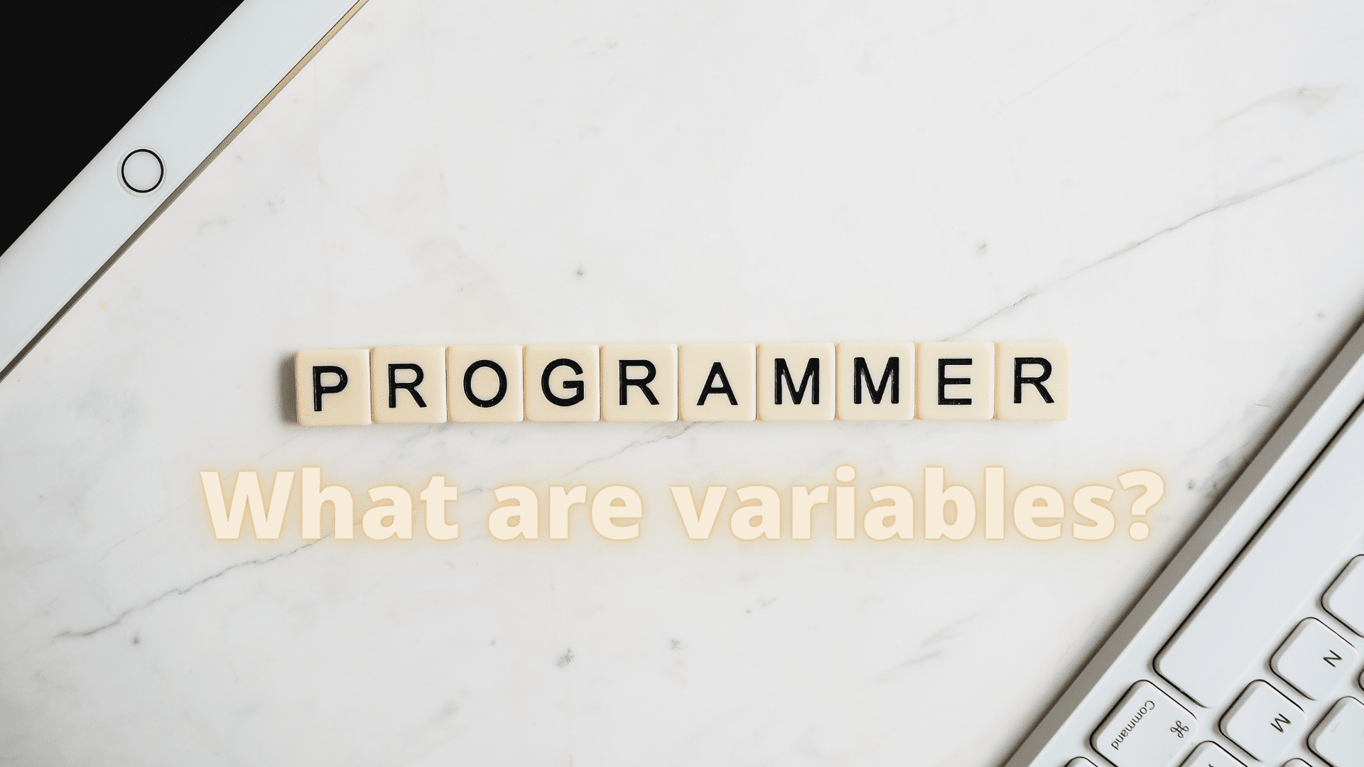 The Types of variables For Arduino