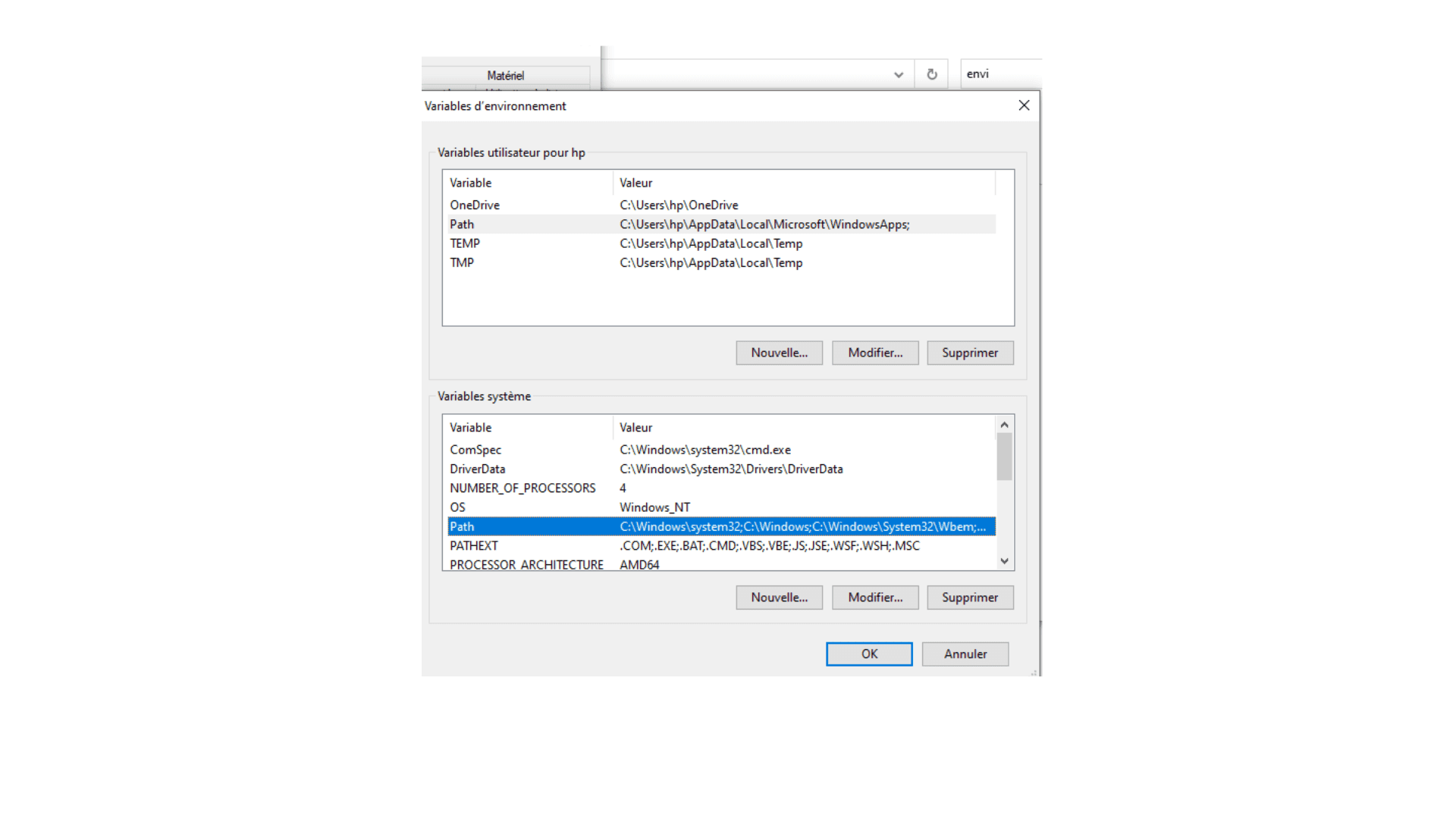 environment variable path