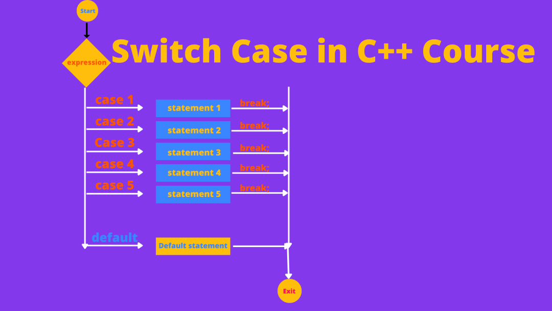 Switch Case in C++ Course