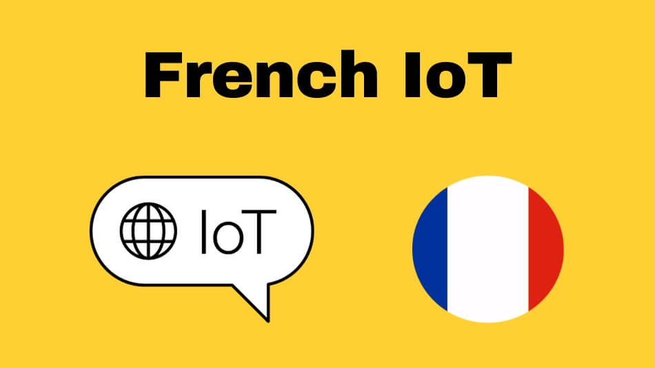 French IoT: A Revolution in Connectivity