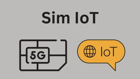 Unveiling The Future: Sim IoT Revolutionizing Connectivity