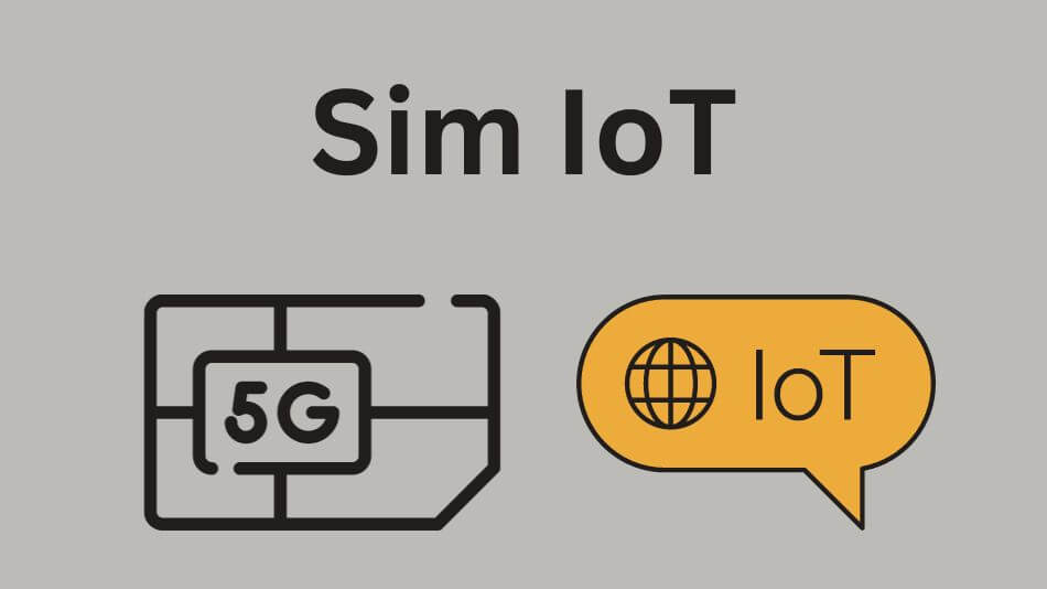 Sim IoT