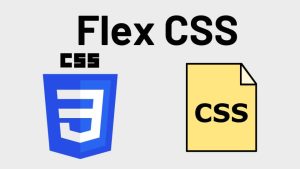 Flex CSS