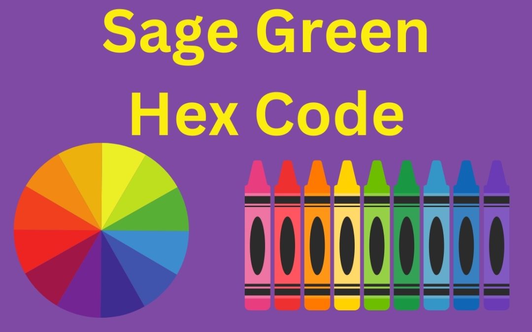 The Versatility of Sage Green Hex Code: Embracing Nature’s Palette