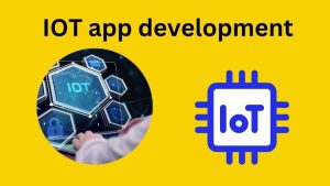 IOT app development